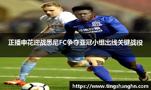 悟空体育正播申花迎战悉尼FC争夺亚冠小组出线关键战役